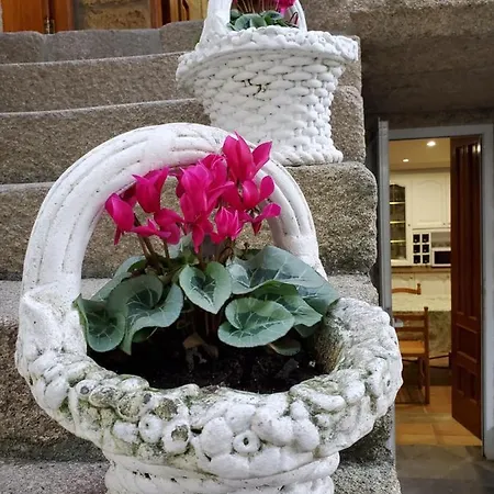 Casa O´paciño Vigo
